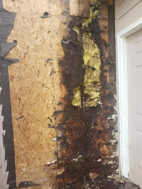 Rotted OSB sheathing with mold damage discovered during siding removal in Tacoma